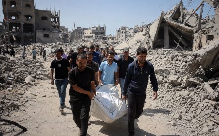 Hamas Agrees to Phased Gaza Disarmament Plan Under Board of Peace Proposal